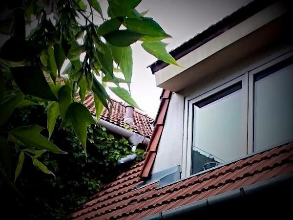 Appartamento Apartman Krc